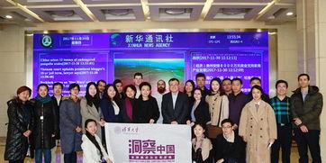 最有感觉的国产传媒,探寻国产传媒的辉煌历程与未来展望